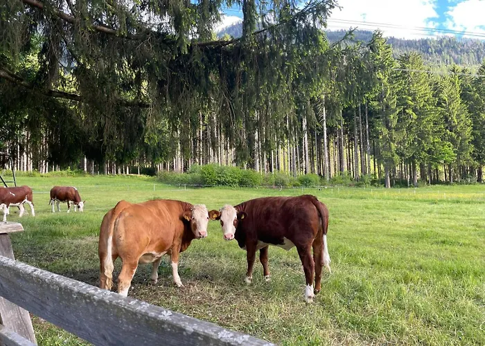 Haus Waldschmied Exclusiv