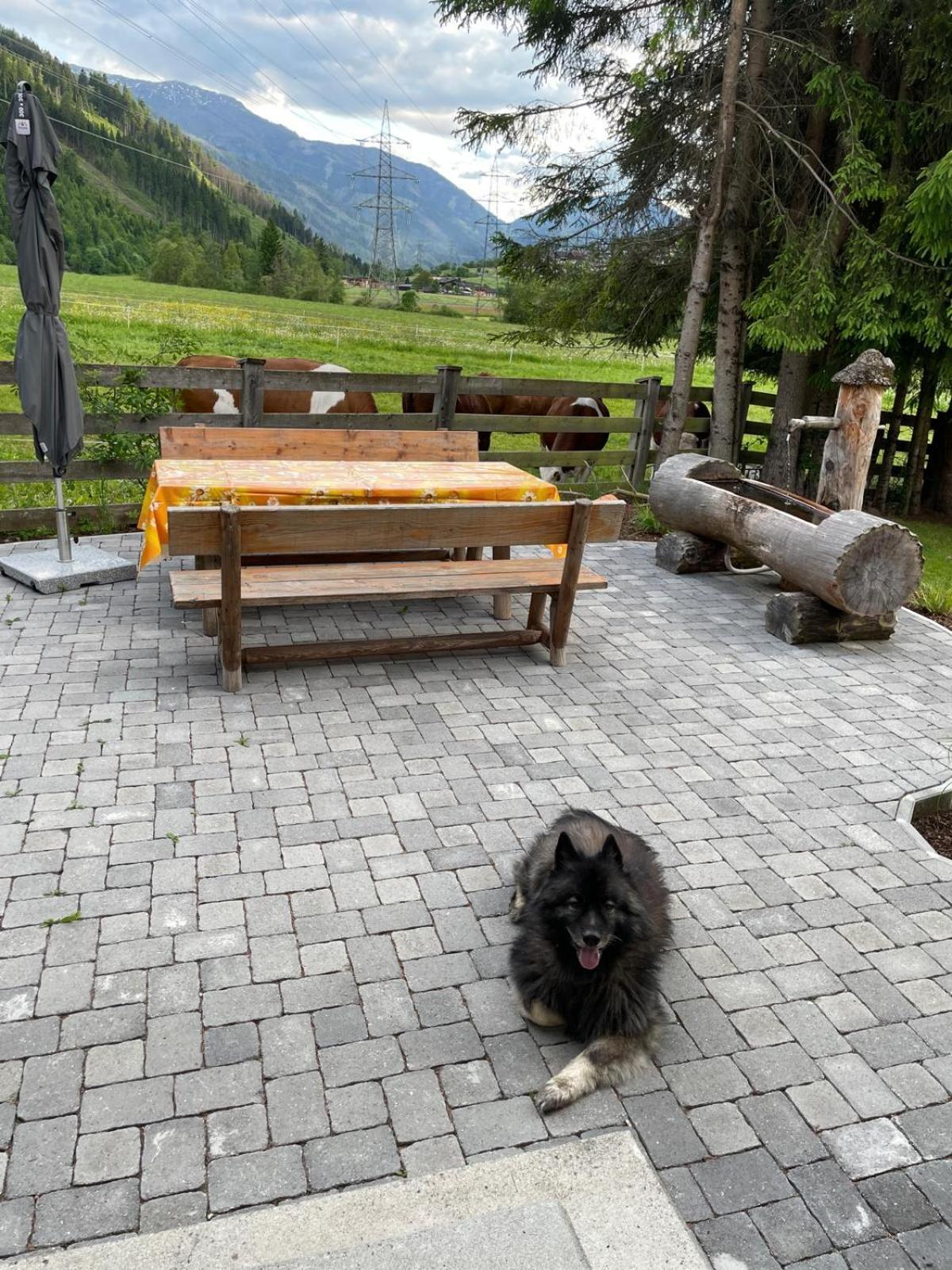 Haus Waldschmied Exclusiv